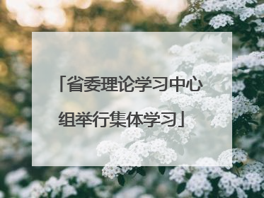 省委理论学习中心组举行集体学习