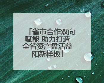 省市合作双向赋能 助力打造全省资产盘活益阳新样板