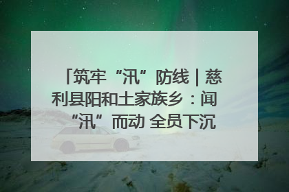筑牢“汛”防线｜慈利县阳和土家族乡：闻“汛”而动 全员下沉筑牢防汛“安全堤”