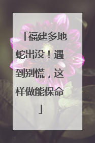 福建多地蛇出没！遇到别慌，这样做能保命