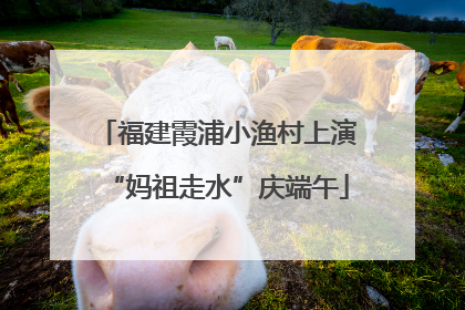 福建霞浦小渔村上演“妈祖走水”庆端午