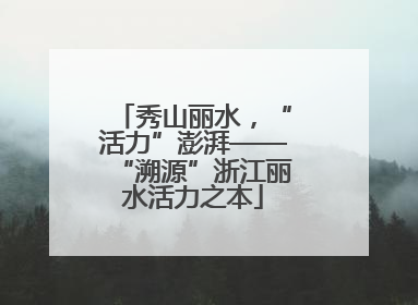 秀山丽水，“活力”澎湃——“溯源”浙江丽水活力之本
