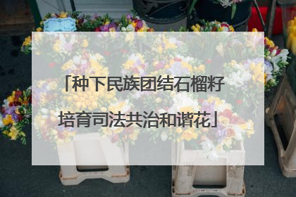 种下民族团结石榴籽 培育司法共治和谐花