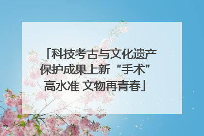 科技考古与文化遗产保护成果上新“手术”高水准 文物再青春