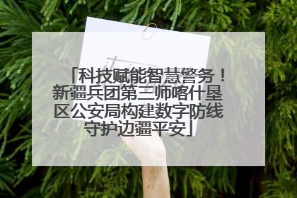 科技赋能智慧警务！新疆兵团第三师喀什垦区公安局构建数字防线守护边疆平安