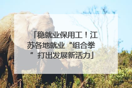 稳就业保用工！江苏各地就业“组合拳”打出发展新活力