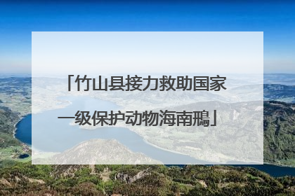 竹山县接力救助国家一级保护动物海南鳽
