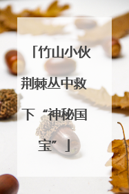竹山小伙荆棘丛中救下“神秘国宝”