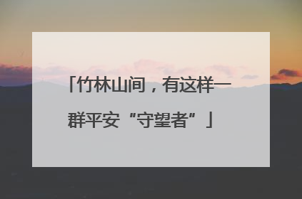 竹林山间，有这样一群平安“守望者”