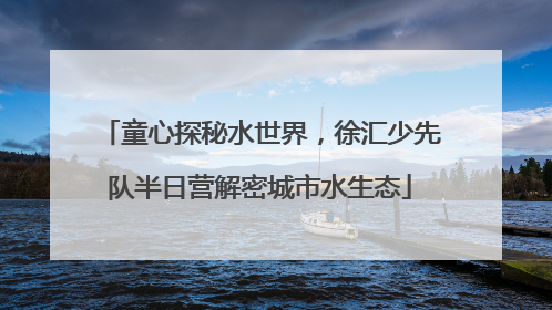 童心探秘水世界，徐汇少先队半日营解密城市水生态