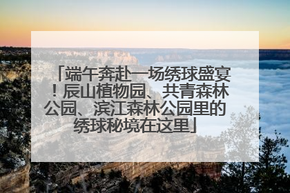 端午奔赴一场绣球盛宴！辰山植物园、共青森林公园、滨江森林公园里的绣球秘境在这里