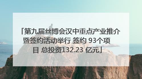 第九届丝博会汉中重点产业推介暨签约活动举行 签约 93个项目 总投资132.23 亿元