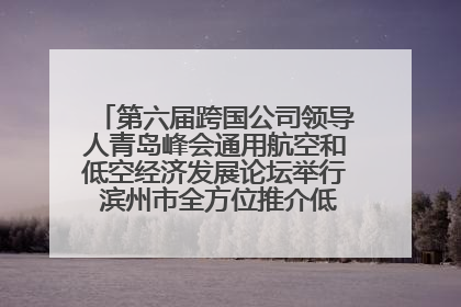 第六届跨国公司领导人青岛峰会通用航空和低空经济发展论坛举行 滨州市全方位推介低空经济发展优势