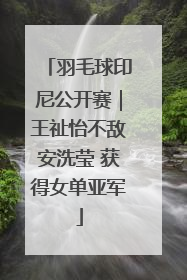 羽毛球印尼公开赛｜王祉怡不敌安洗莹 获得女单亚军