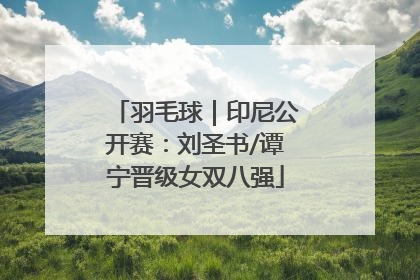 羽毛球｜印尼公开赛：刘圣书/谭宁晋级女双八强