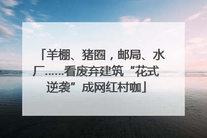 羊棚、猪圈，邮局、水厂……看废弃建筑“花式逆袭”成网红村咖