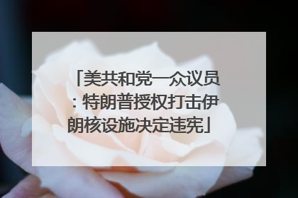 美共和党一众议员：特朗普授权打击伊朗核设施决定违宪