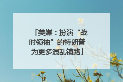 美媒：扮演“战时领袖”的特朗普为更多混乱铺路