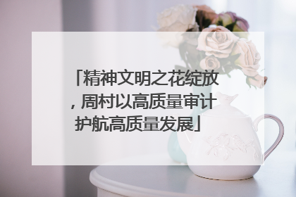精神文明之花绽放，周村以高质量审计护航高质量发展