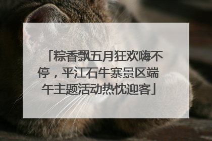 粽香飘五月狂欢嗨不停，平江石牛寨景区端午主题活动热忱迎客