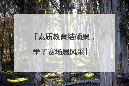 素质教育结硕果，学子赛场展风采