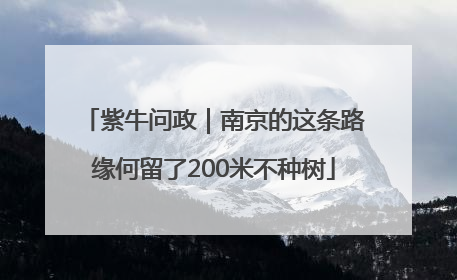 紫牛问政｜南京的这条路缘何留了200米不种树