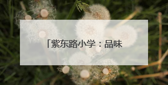紫东路小学：品味端午 传承文明