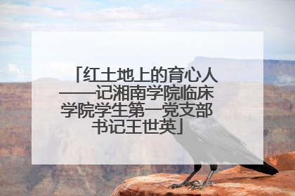 红土地上的育心人——记湘南学院临床学院学生第一党支部书记王世英
