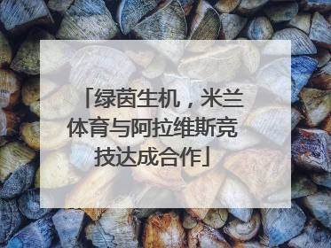 绿茵生机，米兰体育与阿拉维斯竞技达成合作
