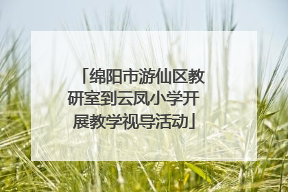 绵阳市游仙区教研室到云凤小学开展教学视导活动