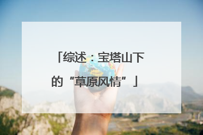 综述：宝塔山下的“草原风情”