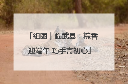 组图｜临武县：粽香迎端午 巧手寄初心