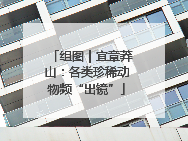 组图｜宜章莽山：各类珍稀动物频“出镜”