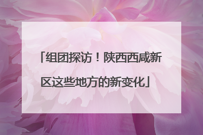 组团探访！陕西西咸新区这些地方的新变化