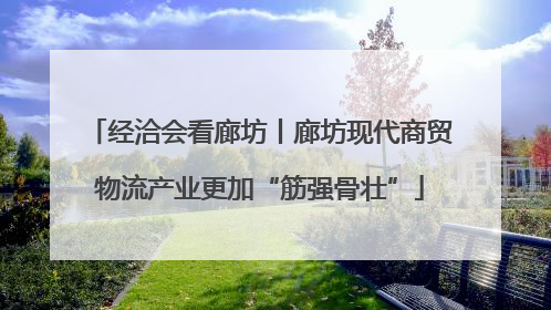 经洽会看廊坊丨廊坊现代商贸物流产业更加“筋强骨壮”