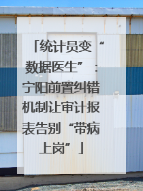 统计员变“数据医生”：宁阳前置纠错机制让审计报表告别“带病上岗”