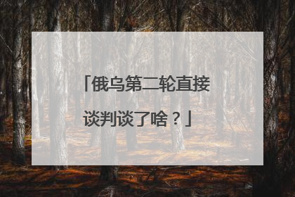 俄乌第二轮直接谈判谈了啥？