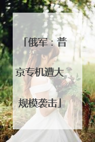 俄军：普京专机遭大规模袭击