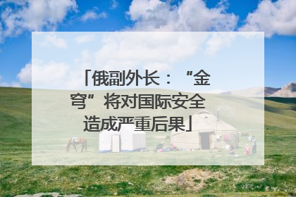 俄副外长：“金穹”将对国际安全造成严重后果