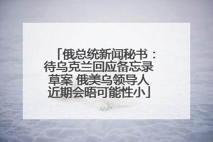 俄总统新闻秘书：待乌克兰回应备忘录草案 俄美乌领导人近期会晤可能性小