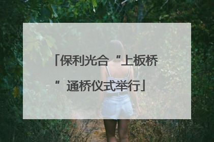 保利光合“上板桥”通桥仪式举行