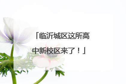 临沂城区这所高中新校区来了！