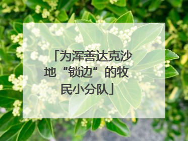 为浑善达克沙地“锁边”的牧民小分队