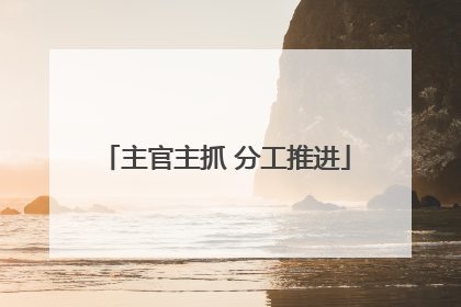主官主抓 分工推进