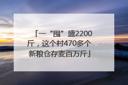 一“囤”盛2200斤，这个村470多个新粮仓存麦百万斤