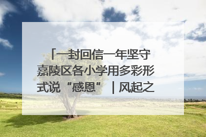 一封回信一年坚守 嘉陵区各小学用多彩形式说“感恩”｜风起之江 扶摇直上