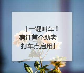 一键叫车！宿迁首个助老打车点启用