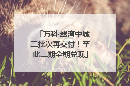 万科·翠湾中城二批次再交付！至此二期全期兑现