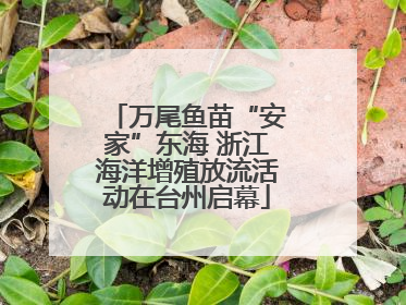 万尾鱼苗“安家”东海 浙江海洋增殖放流活动在台州启幕