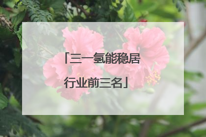 三一氢能稳居行业前三名